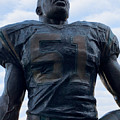 Keep Pounding Photograph by Lee Darnell Keep Pounding Photograph by Lee Darnell