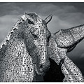 Kelpies by Adam West