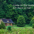 Kentucky Forest Cabin in the Early Morning - John Muir Quote  by Gary Whitton