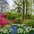 Keukenhof Gardens Windmill Photograph by Jim Miller Keukenhof Gardens Windmill Photograph by Jim Miller