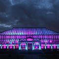 Kew lit up in Winter Photograph by Andrew Lalchan Kew lit up in Winter Photograph by Andrew Lalchan