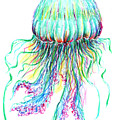Key West Jellyfish Study 2 Painting by Shelly Tschupp Key West Jellyfish Study 2 Painting by Shelly Tschupp