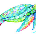 Key West Turtle 2 Study Painting by Shelly Tschupp Key West Turtle 2 Study Painting by Shelly Tschupp