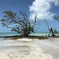 Key West Waters Photograph by Ashley Turner Key West Waters Photograph by Ashley Turner