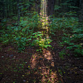 Keyhole in the Wilderness Photograph by Jerry LoFaro Keyhole in the Wilderness Photograph by Jerry LoFaro