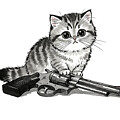 Kitty Bang by Jonas Luis