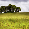 Knowehead Cairn - Coupar Angus - Scotland Photograph by Jason Politte Knowehead Cairn - Coupar Angus - Scotland Photograph by Jason Politte