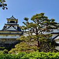 Kochi Park, Kochi, Japan by Sheila Smart Fine Art Photography