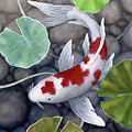 Koi Pond 2 Painting by Hailey E Herrera Koi Pond 2 Painting by Hailey E Herrera