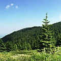 Kopaonik - panorama view over the mountains Photograph by Dejan Jovanovic Kopaonik - panorama view over the mountains Photograph by Dejan Jovanovic