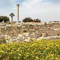 Kourion Archeological Site #1 by Shirley Mitchell