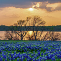 Lake and Bluebonnet Sunset - 32021 by Wall Art Of Texas