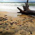 Lake Superior Crashing Waves and Log by Douglas Allen