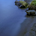 Lakeshore Photograph by Anamar Pictures Lakeshore Photograph by Anamar Pictures