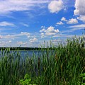 Land, Water and Sky Photograph by Mary Walchuck Land, Water and Sky Photograph by Mary Walchuck