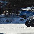 Landing on Ice Photograph by Steve Brown Landing on Ice Photograph by Steve Brown