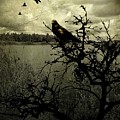 Landscape Birds Lake Design 321 by Lucie Dumas