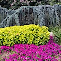 Landscape Elegance Photograph by Nancy Ayanna Wyatt Landscape Elegance Photograph by Nancy Ayanna Wyatt