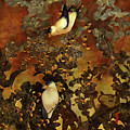 Lantern Chinoiserie Goldfinches and Berries Digital Art by Sand And Chi Lantern Chinoiserie Goldfinches and Berries Digital Art by Sand And Chi