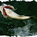 Largemouth airborne Digital Art by Chauncy Holmes Largemouth airborne Digital Art by Chauncy Holmes