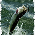 Largemouth trying to get away Digital Art by Chauncy Holmes Largemouth trying to get away Digital Art by Chauncy Holmes