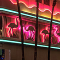 Las Vegas Lockdown Flamingo Casino Neon Flamingos Photograph by Aloha Art