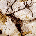 Lascaux Megaceros Deer 5 Photograph by Weston Westmoreland Lascaux Megaceros Deer 5 Photograph by Weston Westmoreland