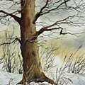 Late Winter in the Woods by James Williamson
