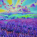 Lavender Fields Beneath Fluffy Clouds by Anastasia Trusova