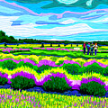 Lavender Fields Of Washington Island by Rod Whyte