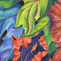 Leafscape by Lucy Arnold Leafscape by Lucy Arnold