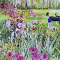 Lee's Puppies Painting by P Anthony Visco Lee's Puppies Painting by P Anthony Visco