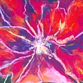Lefthand Abstracts Series #3 - Red Fora Macro Pastel by Barbara O'Toole Lefthand Abstracts Series #3 - Red Fora Macro Pastel by Barbara O'Toole