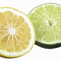 Lemon Lime Kitchen Decor  by Shelli Fitzpatrick