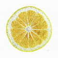 Lemon Slice Kitchen Decor  by Shelli Fitzpatrick