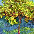 Lemon Tree Painting by Jane Small Lemon Tree Painting by Jane Small