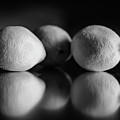 Lemons by Gavin Lewis