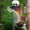 Lemur Artistry by DB Hayes