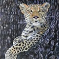Leopard Lookout Painting by John Neeve Leopard Lookout Painting by John Neeve