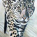 Leopard Painting by Uwe Fehrmann Leopard Painting by Uwe Fehrmann