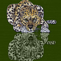 Leopard's Reflection Mixed Media by Kelly Mills Leopard's Reflection Mixed Media by Kelly Mills