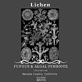 Lichen Digital Art by Lisa Redfern Lichen Digital Art by Lisa Redfern