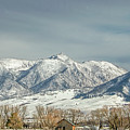 Life in the Shadow of the Absaroka Mountain Range, Montanabraso Photograph by Marcy Wielfaert