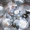 Light Abstract by Kathy Paynter
