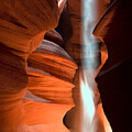 Light and Shadow by Brad Brizek