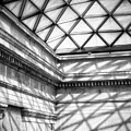 Light and Shadows by Carrie Hannigan