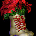 Light Painted Ice Skates and Poinsettia by Rob Green