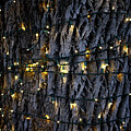 Lights - December 2024 by Joseph A Langley