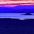 Like Chamo Sunrise Photograph by Matt Cohen Like Chamo Sunrise Photograph by Matt Cohen