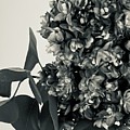 Lilac Bloom Black and White Painting by Lisa White Lilac Bloom Black and White Painting by Lisa White